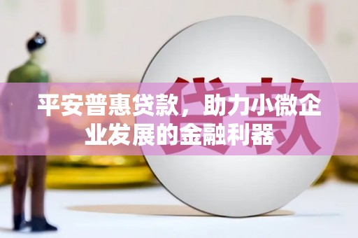 东乡平安普惠贷款，助力小微企业发展的金融利器