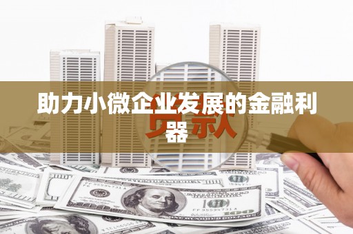 东乡助力小微企业发展的金融利器