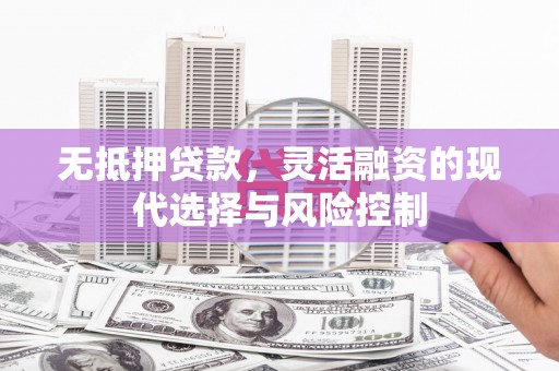 东乡无抵押贷款，灵活融资的现代选择与风险控制