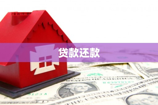 东乡贷款还款