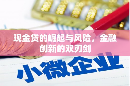 东乡现金贷的崛起与风险，金融创新的双刃剑