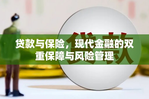 东乡贷款与保险，现代金融的双重保障与风险管理