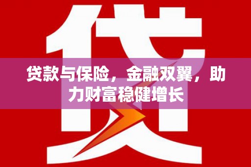东乡贷款与保险，金融双翼，助力财富稳健增长