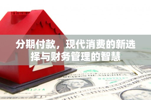 东乡分期付款，现代消费的新选择与财务管理的智慧