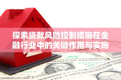 东乡探索贷款风险控制措施在金融行业中的关键作用与实施策略