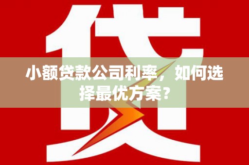 东乡小额贷款公司利率，如何选择最优方案？