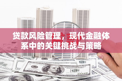 东乡贷款风险管理，现代金融体系中的关键挑战与策略