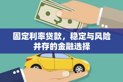 东乡固定利率贷款，稳定与风险并存的金融选择
