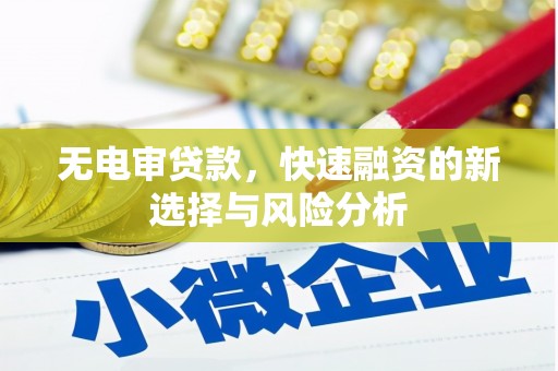东乡无电审贷款，快速融资的新选择与风险分析