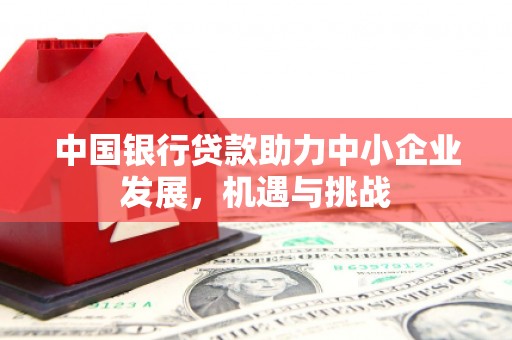 东乡中国银行贷款助力中小企业发展，机遇与挑战