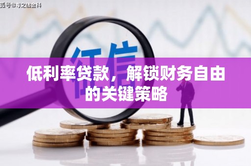 东乡低利率贷款，解锁财务自由的关键策略