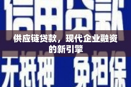 东乡供应链贷款，现代企业融资的新引擎
