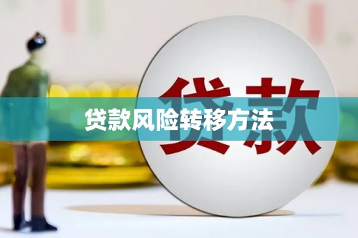 东乡贷款风险转移方法