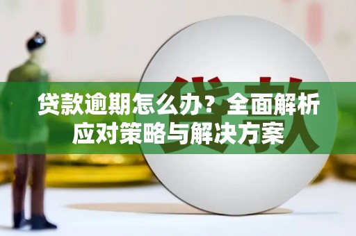 东乡贷款逾期怎么办？全面解析应对策略与解决方案