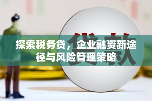 东乡探索税务贷，企业融资新途径与风险管理策略