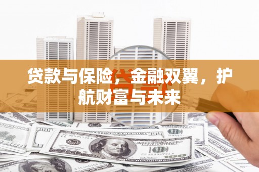 东乡贷款与保险，金融双翼，护航财富与未来