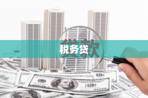 东乡税务贷