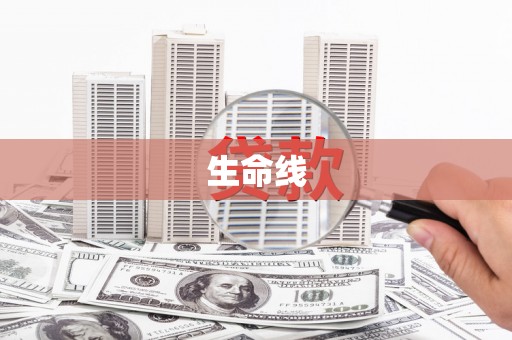 东乡生命线