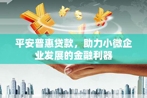 东乡平安普惠贷款，助力小微企业发展的金融利器
