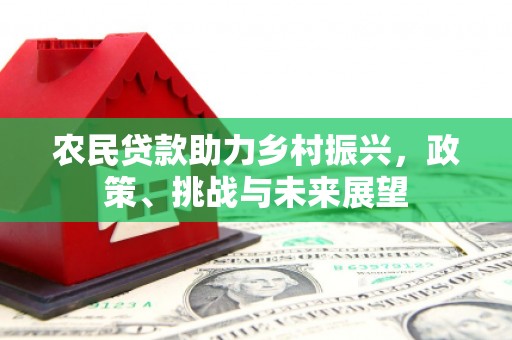 东乡农民贷款助力乡村振兴，政策、挑战与未来展望