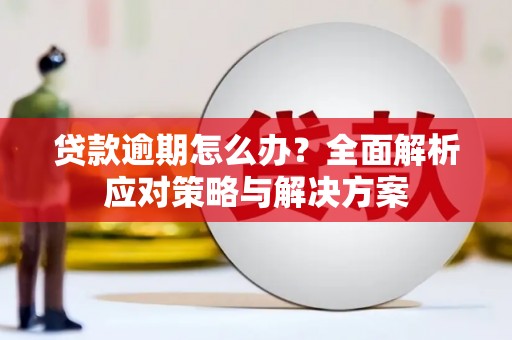 东乡贷款逾期怎么办？全面解析应对策略与解决方案