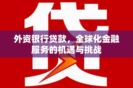 东乡外资银行贷款，全球化金融服务的机遇与挑战