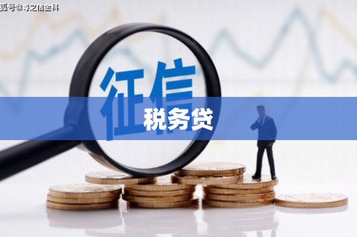 东乡税务贷