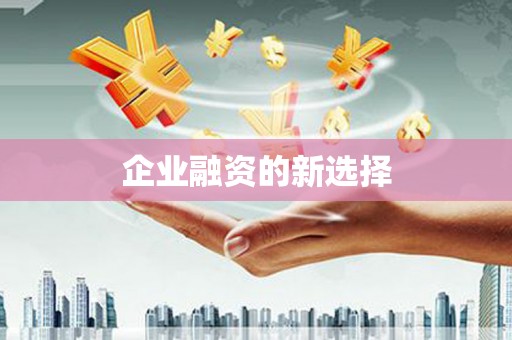 东乡企业融资的新选择
