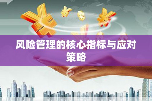 东乡风险管理的核心指标与应对策略