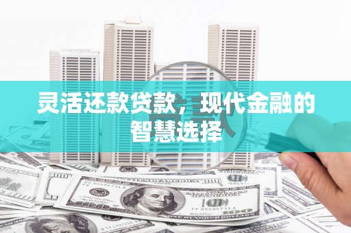 东乡灵活还款贷款，现代金融的智慧选择