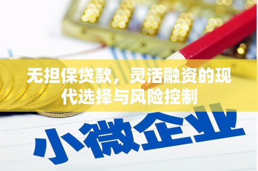 东乡无担保贷款，灵活融资的现代选择与风险控制