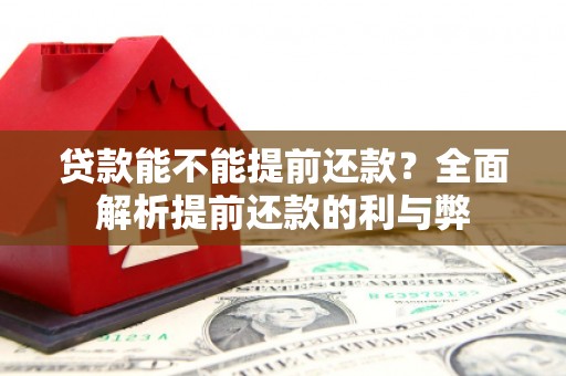 东乡贷款能不能提前还款？全面解析提前还款的利与弊