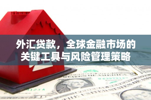 东乡外汇贷款，全球金融市场的关键工具与风险管理策略