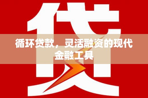 东乡循环贷款，灵活融资的现代金融工具