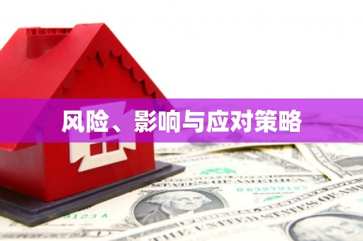 东乡风险、影响与应对策略