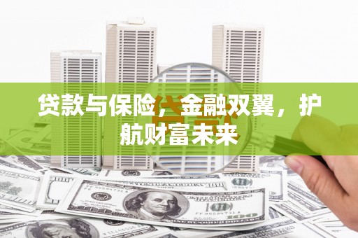 东乡贷款与保险，金融双翼，护航财富未来