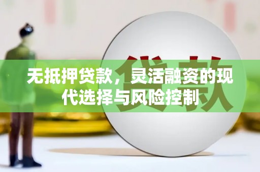 东乡无抵押贷款，灵活融资的现代选择与风险控制