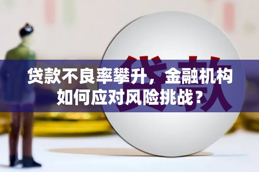 东乡贷款不良率攀升，金融机构如何应对风险挑战？