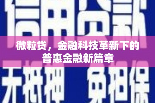 东乡微粒贷，金融科技革新下的普惠金融新篇章