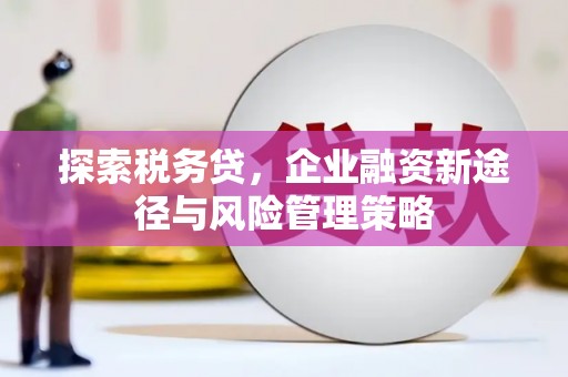 东乡探索税务贷，企业融资新途径与风险管理策略