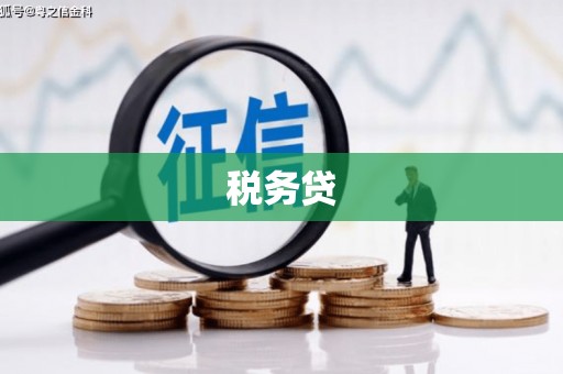东乡税务贷
