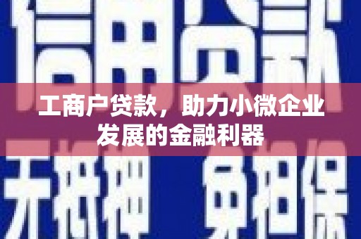 东乡工商户贷款，助力小微企业发展的金融利器