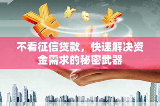 东乡不看征信贷款，快速解决资金需求的秘密武器