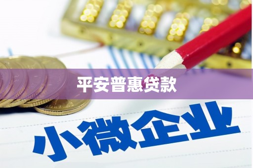 东乡平安普惠贷款