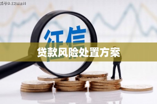 东乡贷款风险处置方案