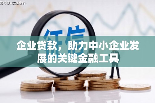 东乡企业贷款，助力中小企业发展的关键金融工具
