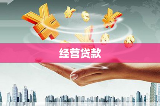 东乡经营贷款