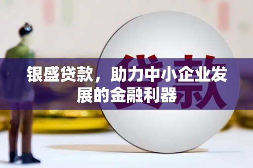 东乡银盛贷款，助力中小企业发展的金融利器
