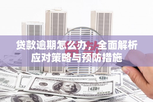 东乡贷款逾期怎么办，全面解析应对策略与预防措施