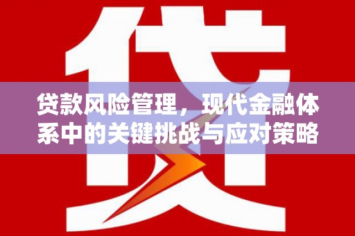 东乡贷款风险管理，现代金融体系中的关键挑战与应对策略